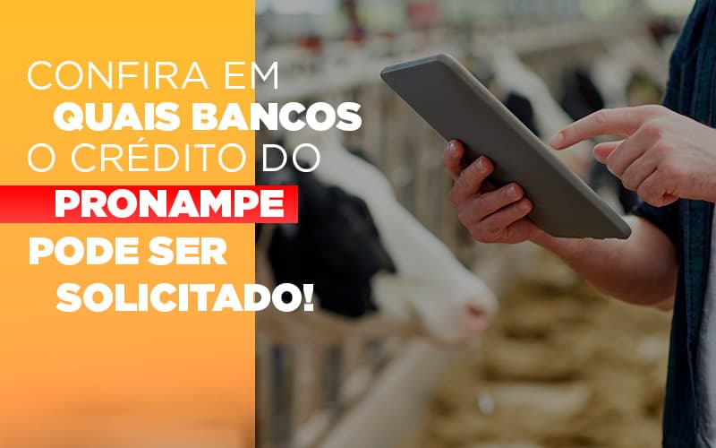 Confira Em Quais Bancos O Credito Pronampe Ja Pode Ser Solicitado Notícias E Artigos Contábeis Notícias E Artigos Contábeis - Contabilidade em Lauro de Freitas - BA | GMH Consultoria